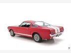 Thumbnail Photo 3 for 1966 Shelby GT350